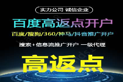 百度竞价赚钱的实战案例分析